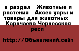  в раздел : Животные и растения » Аксесcуары и товары для животных . Карачаево-Черкесская респ.